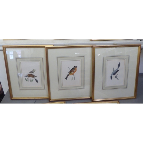 141 - Eight framed 19thC bird themed coloured prints  various sizes