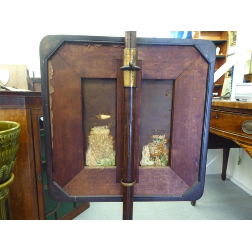 241 - A William IV rosewood pole screen with a needleworked panel, raised on a turned pedestal base  ... 