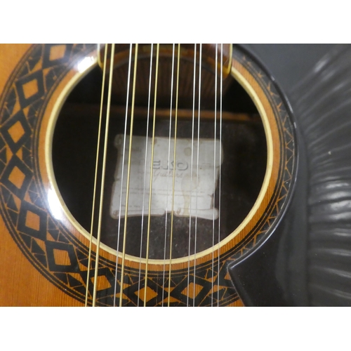 42 - An EKO twelve string accoustic guitar with a soft fabric carrying case 