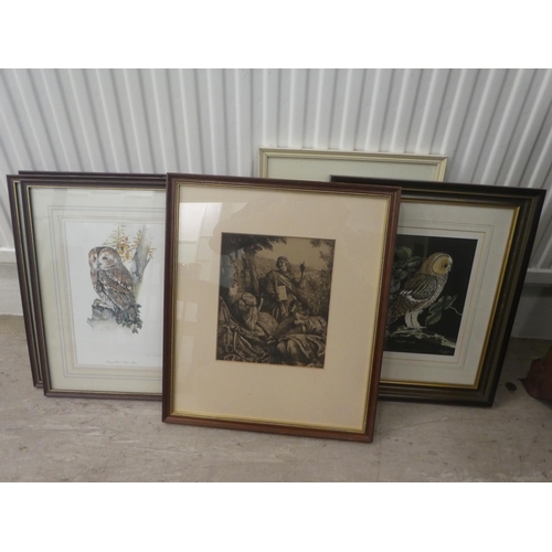 6 - Framed pictures and prints: to include after Joel Kirk - 'Owls'  print  7