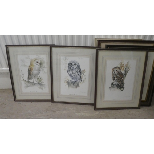 6 - Framed pictures and prints: to include after Joel Kirk - 'Owls'  print  7