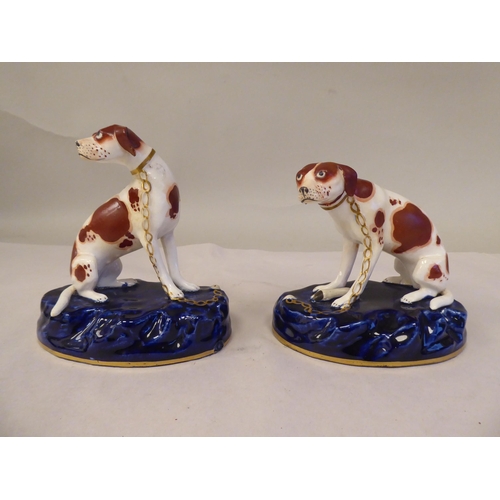 57 - A pair of Staffordshire pottery models, seated, malevolent hounds, each set on a gilded midnight blu... 