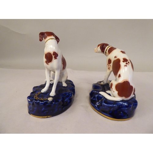 57 - A pair of Staffordshire pottery models, seated, malevolent hounds, each set on a gilded midnight blu... 