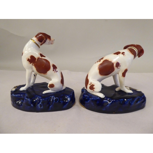 57 - A pair of Staffordshire pottery models, seated, malevolent hounds, each set on a gilded midnight blu... 