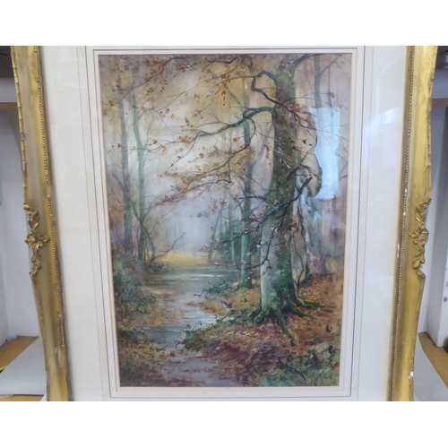 33 - Thomas Taylor - 'Burnham Beeches'  watercolour  bears a signature  19.5