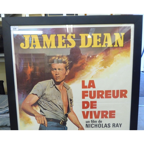 239 - A vintage French film poster 'La Fureur De Vivre' (Rebel Without a Cause)  35