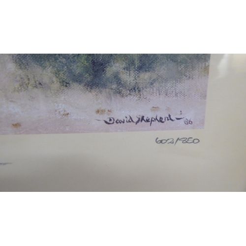 23 - After David Shepherd - three wildlife studies  prints  bearing signatures  8