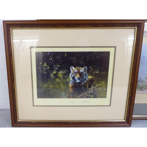 23 - After David Shepherd - three wildlife studies  prints  bearing signatures  8