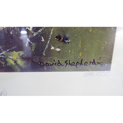 23 - After David Shepherd - three wildlife studies  prints  bearing signatures  8