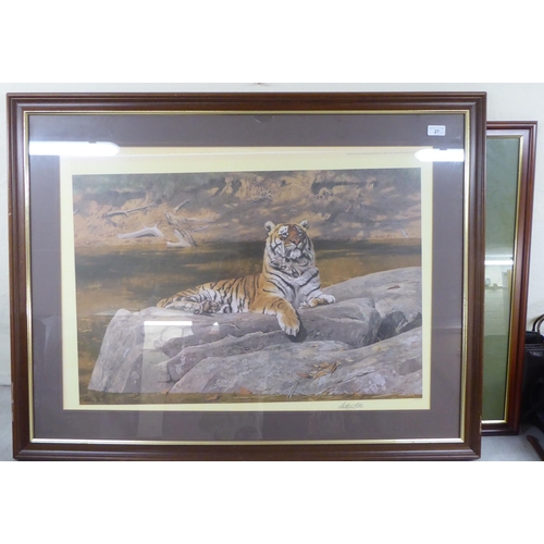 27 - After David Shepherd - two studies of tigers  prints  bearing pencil signatures  26