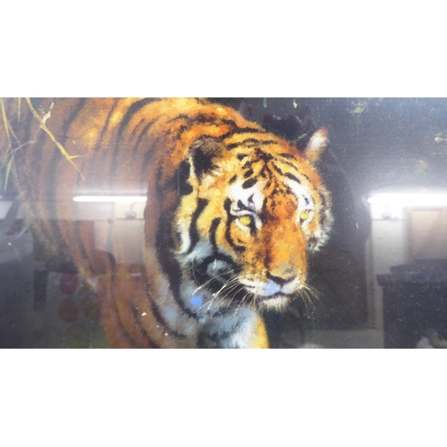 27 - After David Shepherd - two studies of tigers  prints  bearing pencil signatures  26