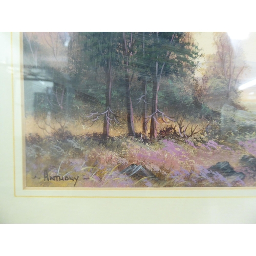 133 - Pictures: to include Anthony - a Highland landscape  oil on board  bears a signature  6