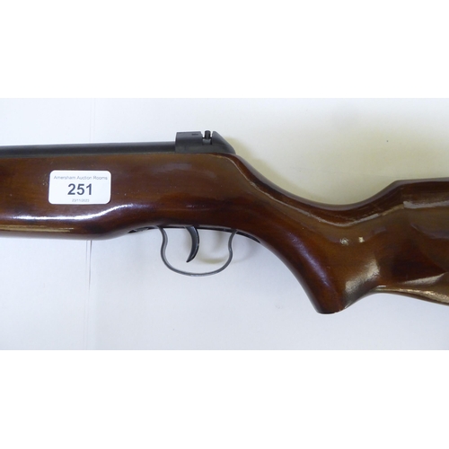 251 - An unnamed 0.22 calibre air rifle