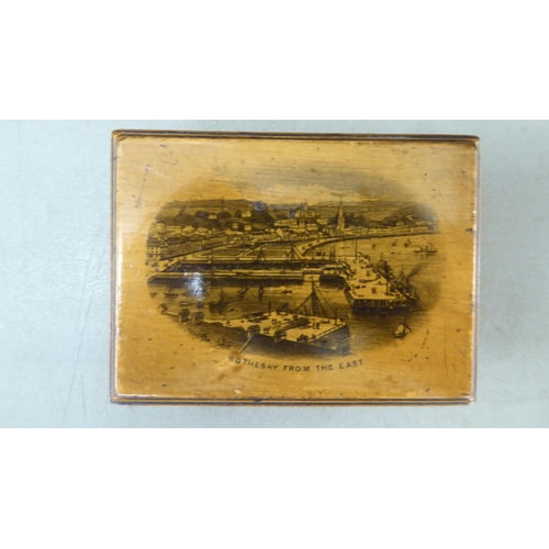 299 - A 19thC Anglo-Indian bone inlaid mahogany vanity box with straight sides and a hinged lid  6