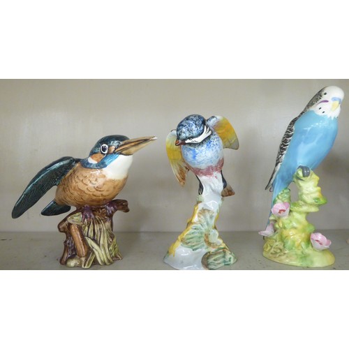 304 - Eight Beswick china bird ornaments: to include 'Lesser Spotted Woodpecker'  5