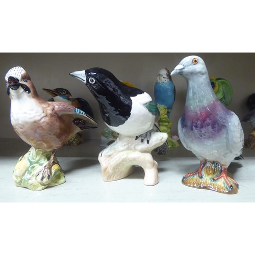 304 - Eight Beswick china bird ornaments: to include 'Lesser Spotted Woodpecker'  5