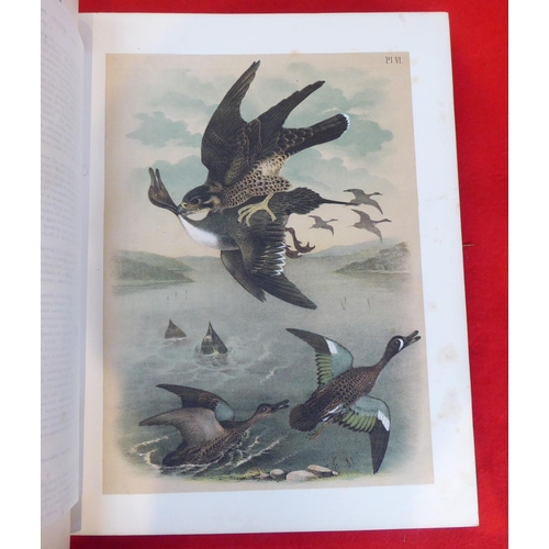 118 - Book: 'Sturders Popular Ornithology, the Birds of North America' drawn and coloured printed plates b... 