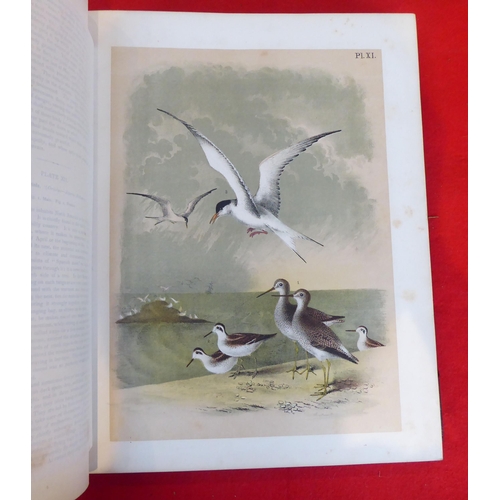 118 - Book: 'Sturders Popular Ornithology, the Birds of North America' drawn and coloured printed plates b... 