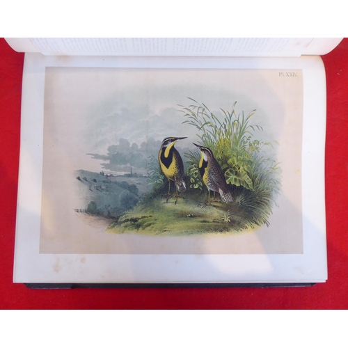 118 - Book: 'Sturders Popular Ornithology, the Birds of North America' drawn and coloured printed plates b... 