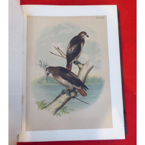 118 - Book: 'Sturders Popular Ornithology, the Birds of North America' drawn and coloured printed plates b... 