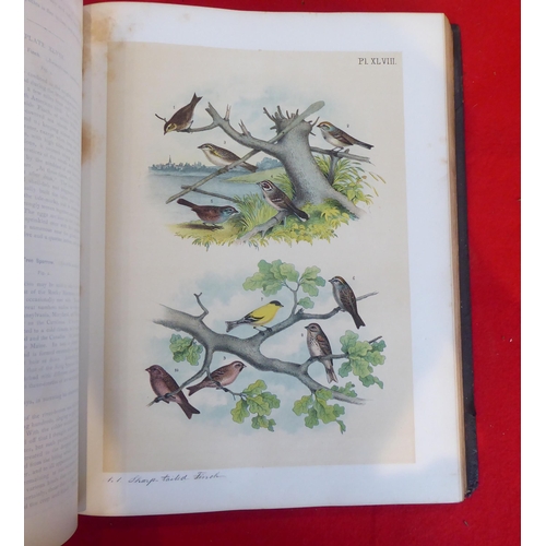 118 - Book: 'Sturders Popular Ornithology, the Birds of North America' drawn and coloured printed plates b... 