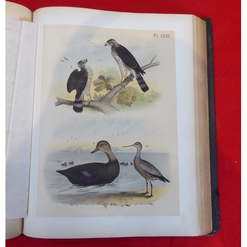 118 - Book: 'Sturders Popular Ornithology, the Birds of North America' drawn and coloured printed plates b... 