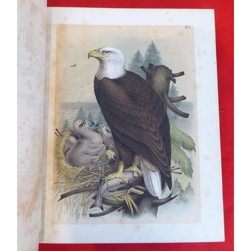 118 - Book: 'Sturders Popular Ornithology, the Birds of North America' drawn and coloured printed plates b... 