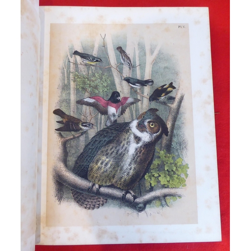 118 - Book: 'Sturders Popular Ornithology, the Birds of North America' drawn and coloured printed plates b... 