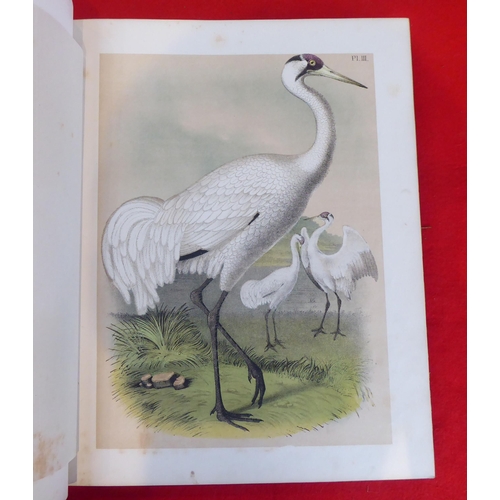 118 - Book: 'Sturders Popular Ornithology, the Birds of North America' drawn and coloured printed plates b... 