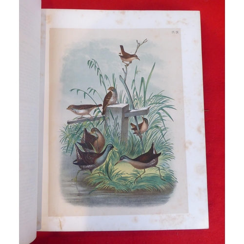 118 - Book: 'Sturders Popular Ornithology, the Birds of North America' drawn and coloured printed plates b... 