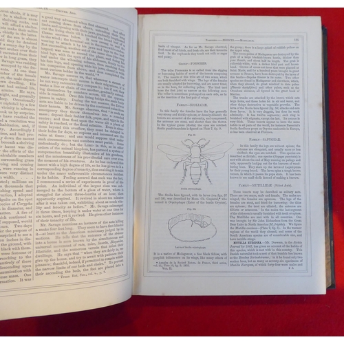 145 - Books: 'The Museum of Natural History' by Sir John Richardson, published by William McKenzie, in two... 