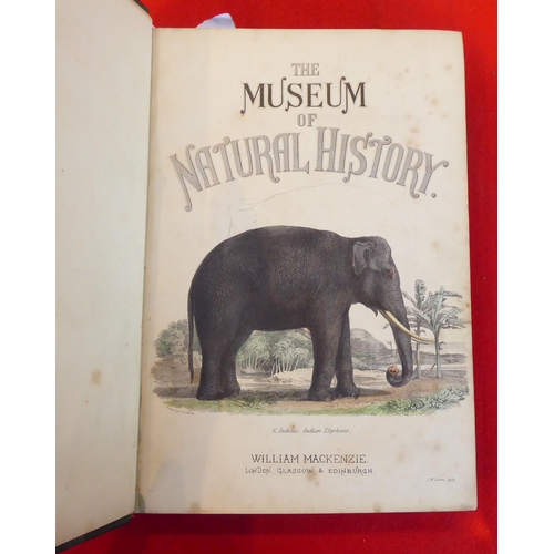 145 - Books: 'The Museum of Natural History' by Sir John Richardson, published by William McKenzie, in two... 