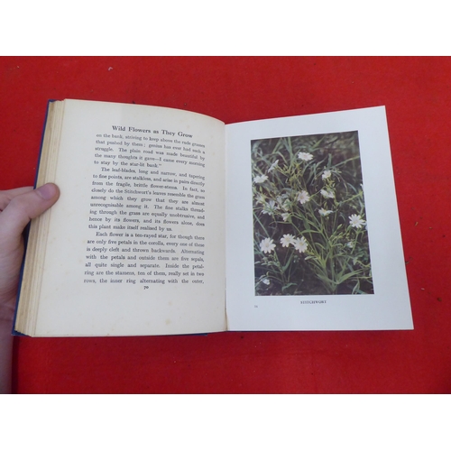 158 - Books: 'Wild Flowers as they Grow' with descriptive text by G Clarke Nuttall  Sixth Series  1914, in... 