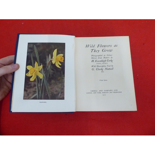 158 - Books: 'Wild Flowers as they Grow' with descriptive text by G Clarke Nuttall  Sixth Series  1914, in... 