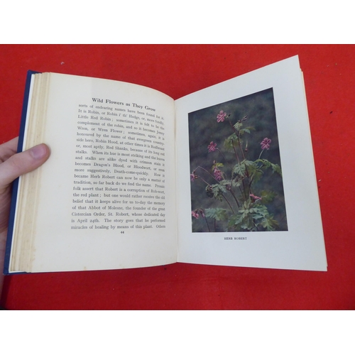 158 - Books: 'Wild Flowers as they Grow' with descriptive text by G Clarke Nuttall  Sixth Series  1914, in... 