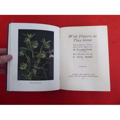 158 - Books: 'Wild Flowers as they Grow' with descriptive text by G Clarke Nuttall  Sixth Series  1914, in... 