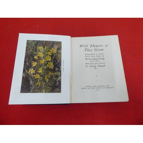 158 - Books: 'Wild Flowers as they Grow' with descriptive text by G Clarke Nuttall  Sixth Series  1914, in... 