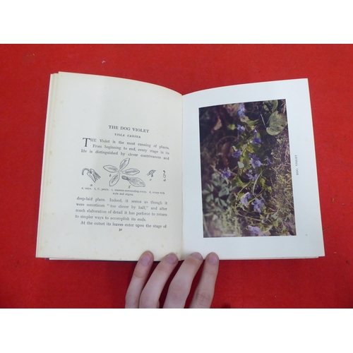 158 - Books: 'Wild Flowers as they Grow' with descriptive text by G Clarke Nuttall  Sixth Series  1914, in... 