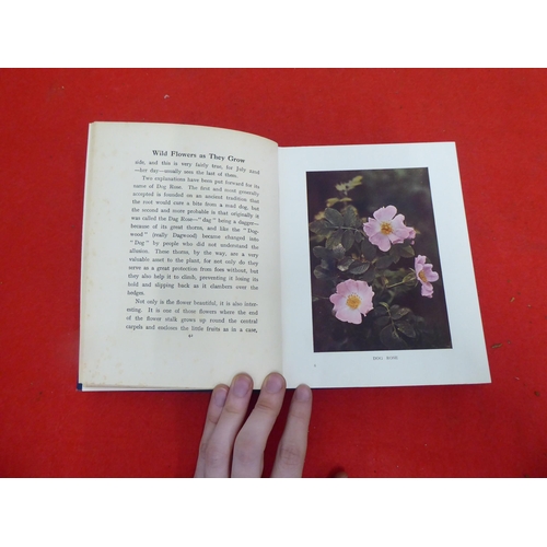 158 - Books: 'Wild Flowers as they Grow' with descriptive text by G Clarke Nuttall  Sixth Series  1914, in... 