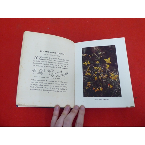 158 - Books: 'Wild Flowers as they Grow' with descriptive text by G Clarke Nuttall  Sixth Series  1914, in... 