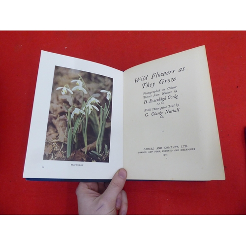 158 - Books: 'Wild Flowers as they Grow' with descriptive text by G Clarke Nuttall  Sixth Series  1914, in... 