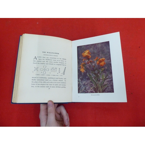 158 - Books: 'Wild Flowers as they Grow' with descriptive text by G Clarke Nuttall  Sixth Series  1914, in... 