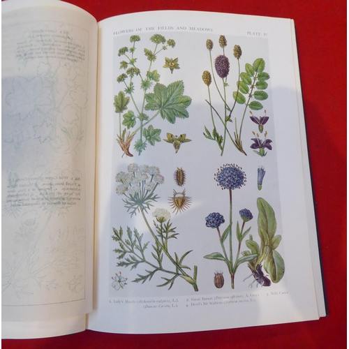 197 - Books: 'British Flowers in their Natural Haunts' 1919, incomplete in six volumes