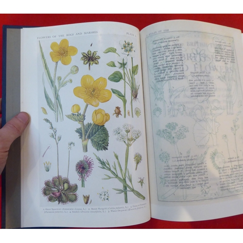 197 - Books: 'British Flowers in their Natural Haunts' 1919, incomplete in six volumes