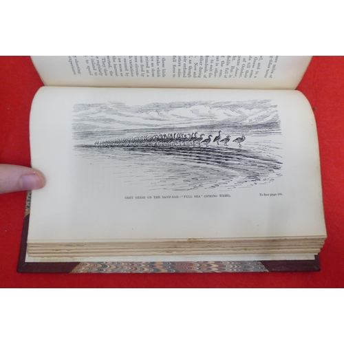 208 - Book: 'Bird Life of the Boarders: Records of Wild Sport and Natural History on Moorland and Sea' by ... 