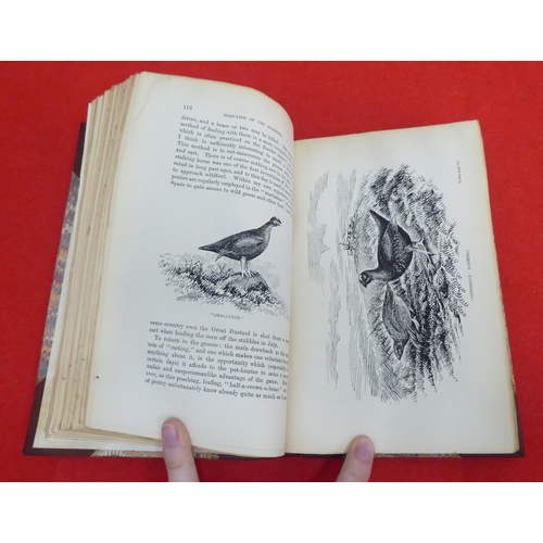 208 - Book: 'Bird Life of the Boarders: Records of Wild Sport and Natural History on Moorland and Sea' by ... 