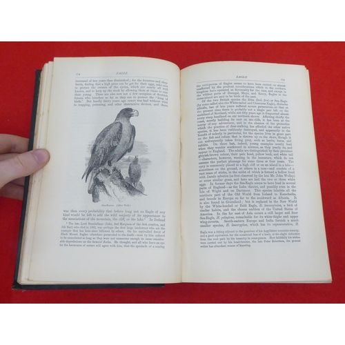 214 - Book: 'A Dictionary of Birds' by Alfred Newton, Assisted by Hans Gadow  1896, in one volume