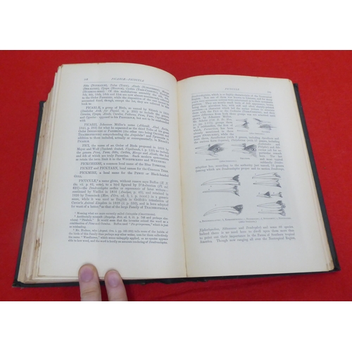 214 - Book: 'A Dictionary of Birds' by Alfred Newton, Assisted by Hans Gadow  1896, in one volume