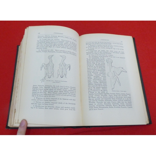 214 - Book: 'A Dictionary of Birds' by Alfred Newton, Assisted by Hans Gadow  1896, in one volume