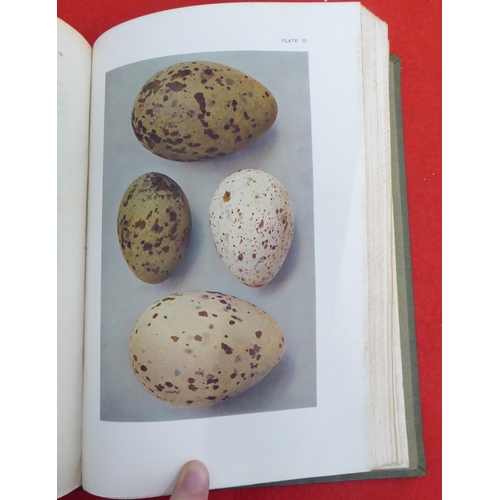 215 - Book: 'British Birds Nests, How, Where and When to Find and Identify them' by Richard Kearton  New E... 